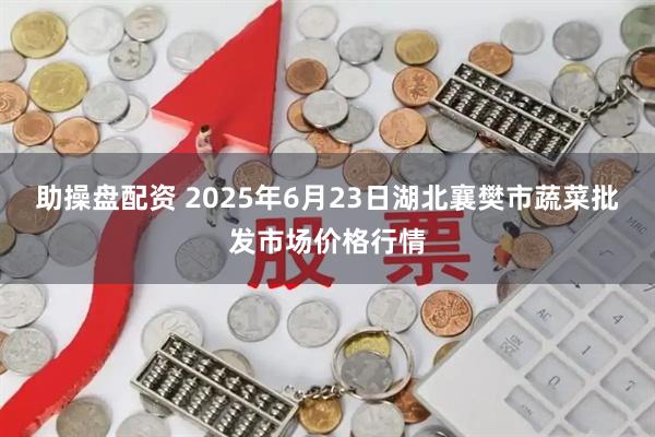 助操盘配资 2025年6月23日湖北襄樊市蔬菜批发市场价格行情