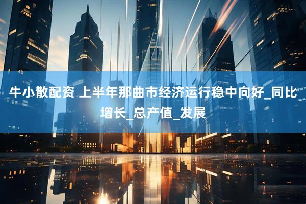 牛小散配资 上半年那曲市经济运行稳中向好_同比增长_总产值_发展